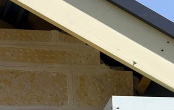 soffit repair Annaloist
